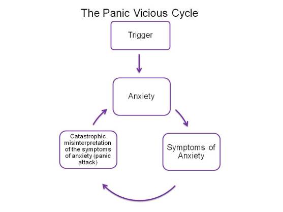 Anxiety and Panic Cycle