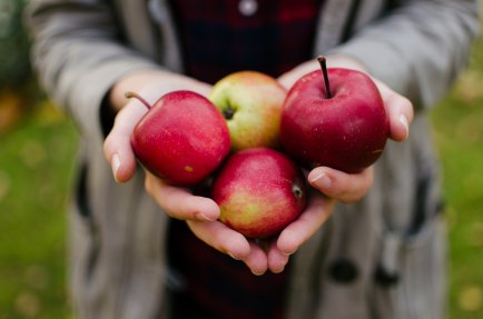 Apples - Photo by Aarón Blanco Tejedor on Unsplash