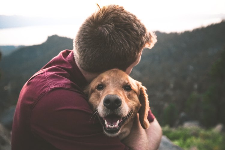 Man and dog - Photo by Samuel Zeller on Unsplash